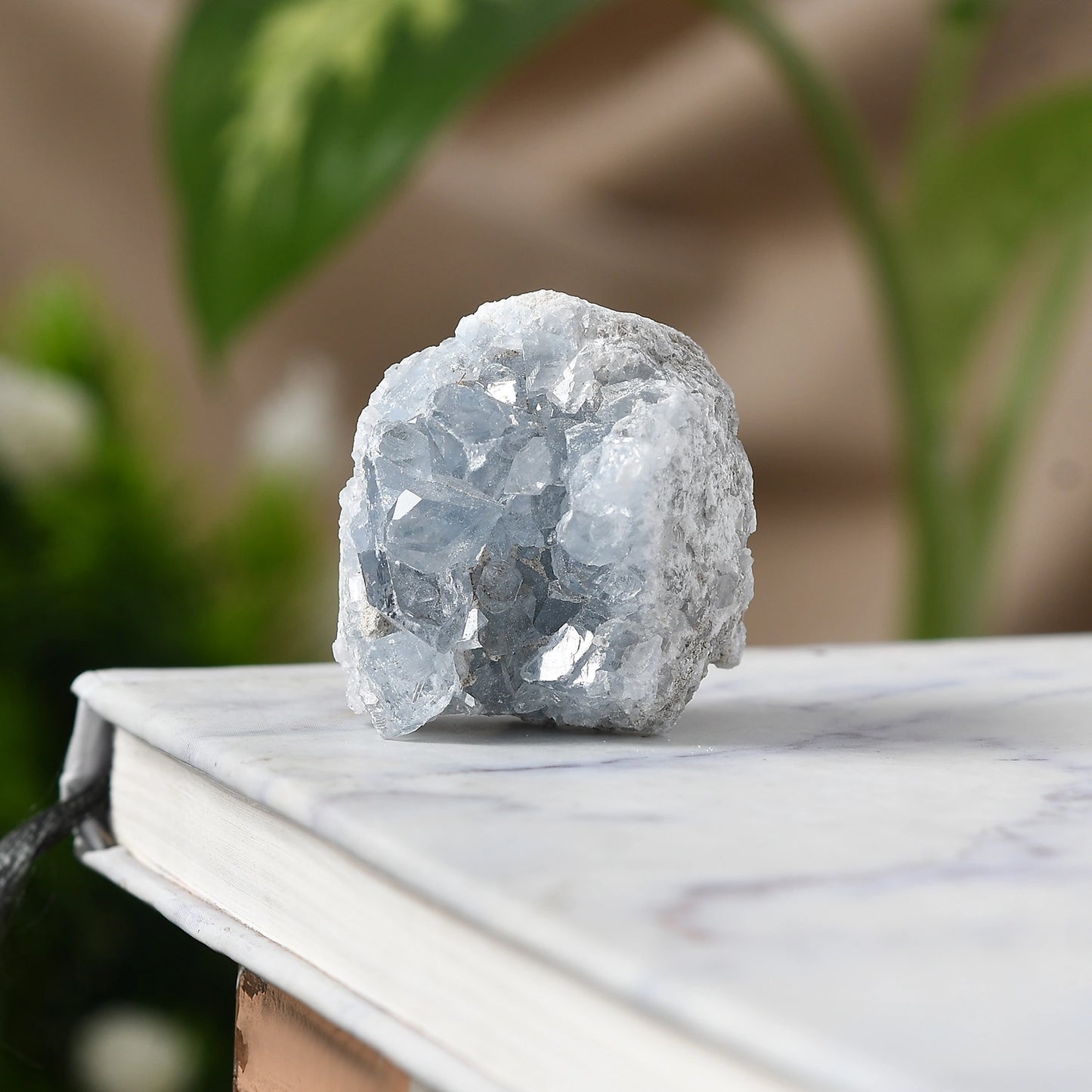 Raw Blue Celestite – A Crystal for Intuitive Clarity