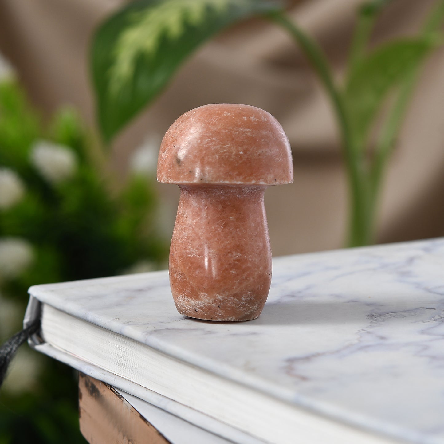 Seltener Cipoline-Pilz – Ein Kristall für Vitalität und Freude