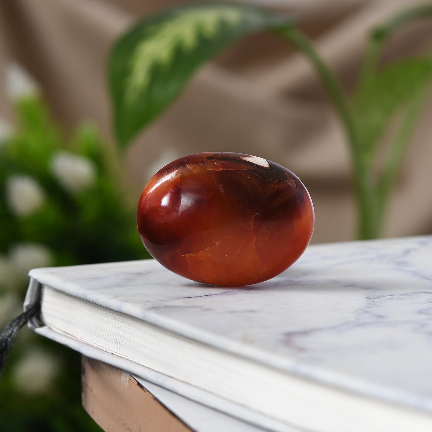 Pierre de paume cornaline : un cristal pour la confiance et la motivation