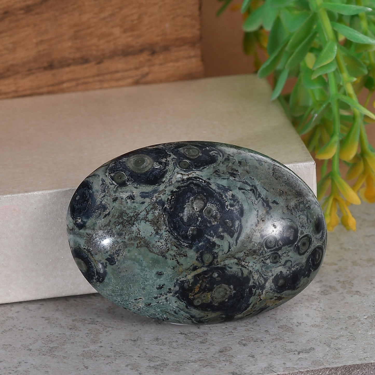 Kambaba Jasper Palm Stone - A Rare Madagascar Crystal