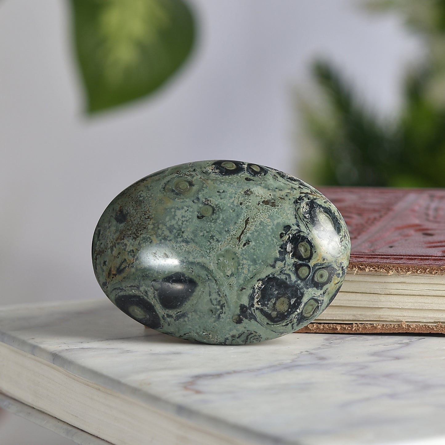 Kambaba Jasper Palm Stone - A Rare Madagascar Crystal