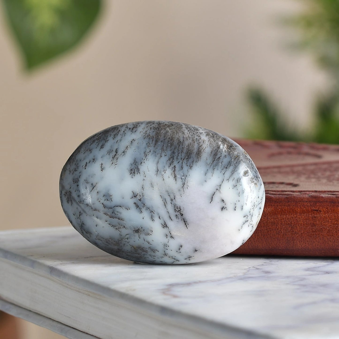 Pierre de palmier Opal Fuser â Calme et croissance, tout en un