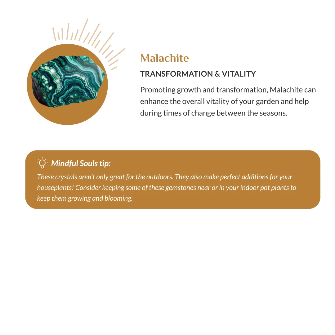 Guide Crystal pièce par pièce : numérique et imprimable