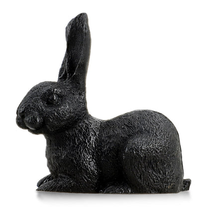 Shungite Rabbit Figurine For Fresh Starts & Good Fortune
