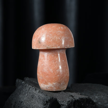 Seltener Cipoline-Pilz – Ein Kristall für Vitalität und Freude