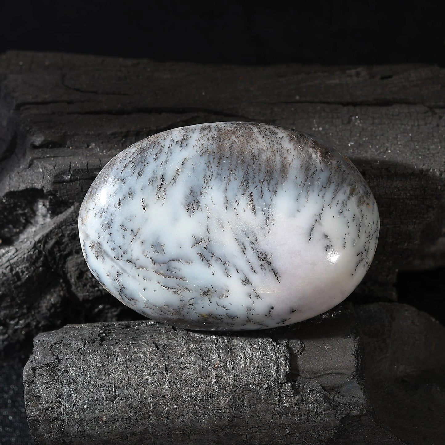 Pierre de palmier Opal Fuser – Calme et croissance, tout en un